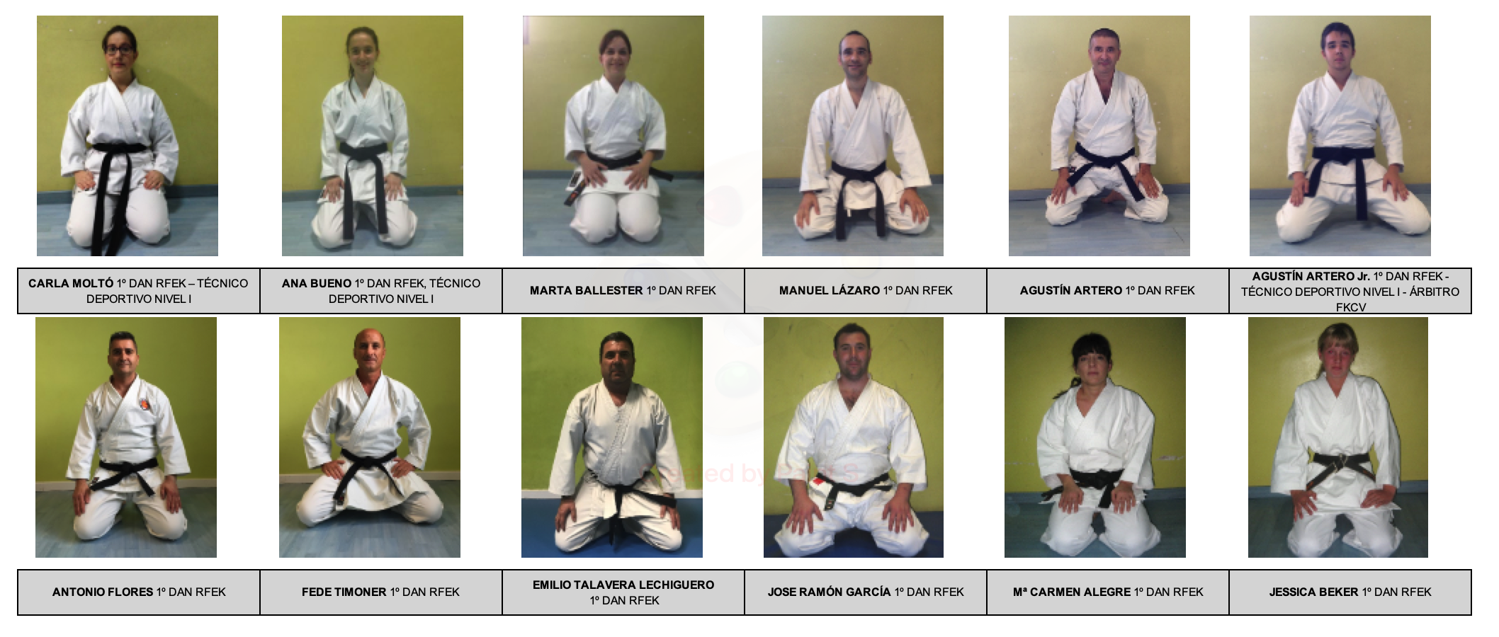 SHODAN 1