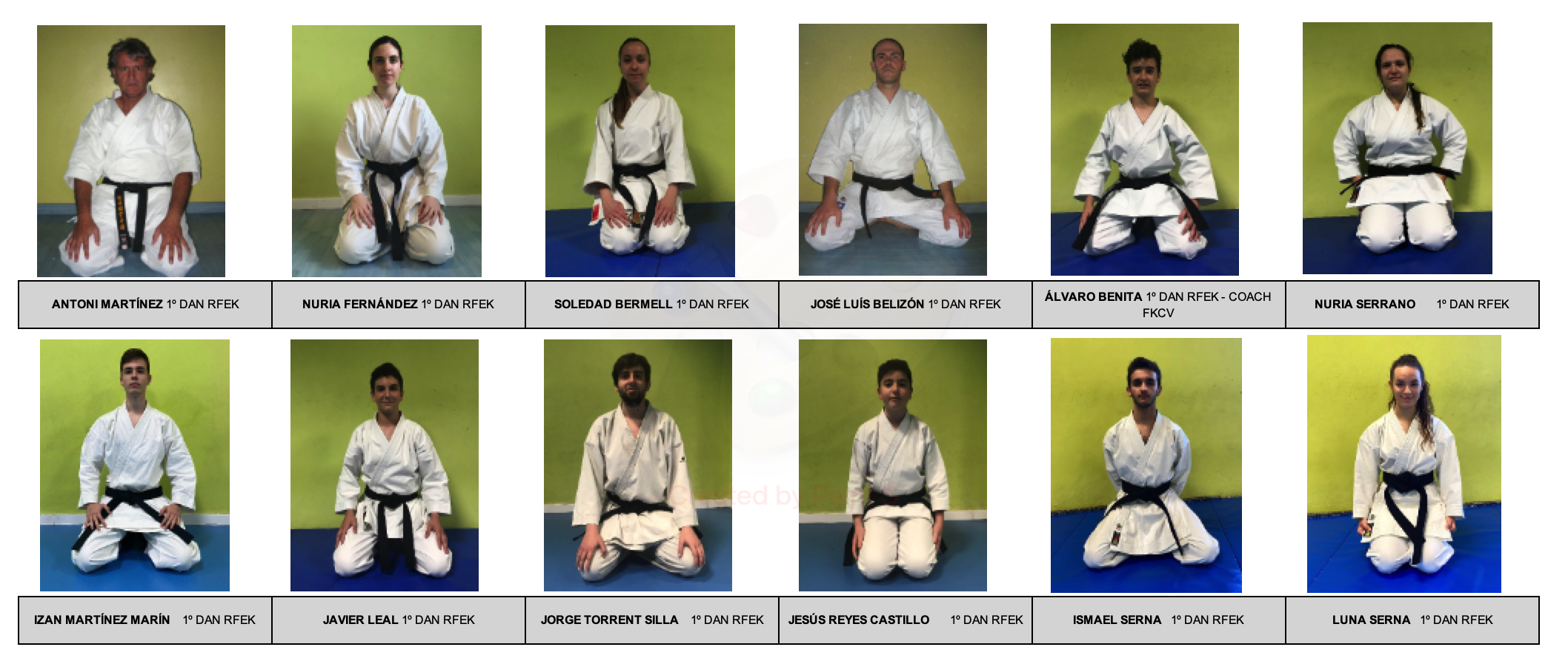 SHODAN 2